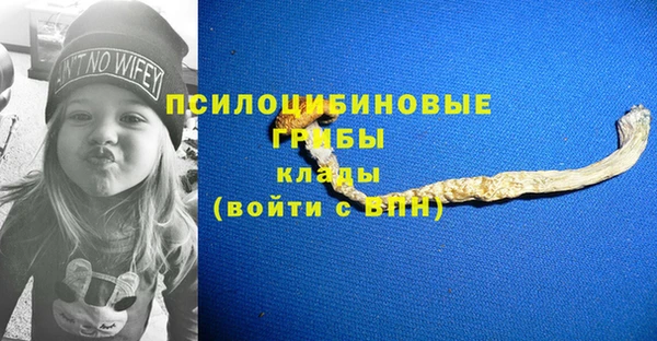 ПСИЛОЦИБИНОВЫЕ ГРИБЫ Алексин
