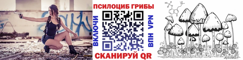 дарк нет состав  кракен как зайти  Чусовой  Псилоцибиновые грибы Psilocybine cubensis 